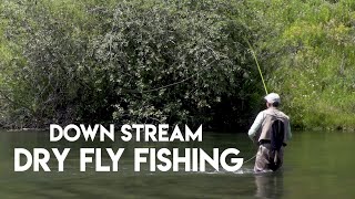 Dry Fly Fishing Down Stream  How To [upl. by Hank]