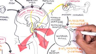 Pharmacology  Antiemetics [upl. by Ahsert]