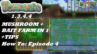 Terraria 1344 HOW TO  Build a Mushroom amp Bait Farm  Benefits  Setup  Episode 4 [upl. by Cybil]