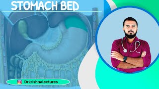 Stomach bed [upl. by Jordison]