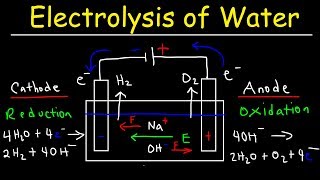 Electrolysis of Water  Electrochemistry [upl. by Nwahsor151]