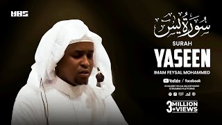 Surah Yaseen سورة يٰسٓ  Beautiful Quran Recitation  Imam Feysal Mohammed [upl. by Chaille]