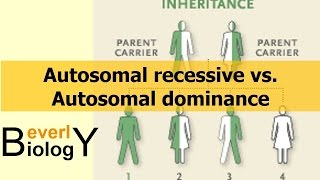 Autosomal Recessive vs Autosomal Dominance [upl. by Zelikow]