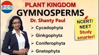 Gymnosperms  Plant kingdom [upl. by Tamberg]