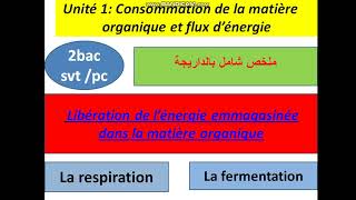 Consommation de la matiére organique 2bac svt [upl. by Fotina]