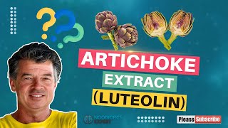 Artichoke Extract Luteolin [upl. by Idihc]