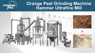 Orange Peel Grinding Machine Orange Peel Pulverizer Machine Hammer Ultrafine Mill  Mill Powder [upl. by Mariana]