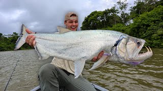 Catching WORLDS DEADLIEST FISH in RIVER [upl. by Lorelle630]