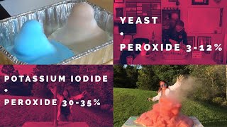 Elephant Toothpaste  Yeast vs Potassium Iodide Catalyst [upl. by Novled]