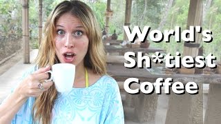 Coffee Made of Poop aka Worlds Most Expensive Coffee  Bali Indonesia  How 2 Travelers [upl. by Tessil]