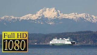 Bremerton Ferry ⛴  Seattle Day Trip [upl. by Ennyleuqcaj]