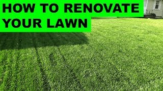 How to Renovate Your Lawn  Complete Lawn Renovation Steps Start to Finish [upl. by Moore]