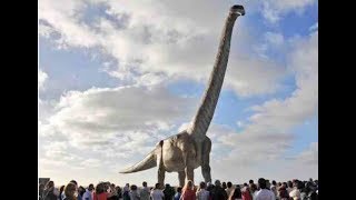 quotPatagotitan mayorumquot New study describes the biggest dinosaur ever [upl. by Dahc722]