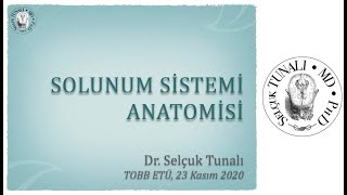 Solunum Sistemi Anatomisi [upl. by Icat29]